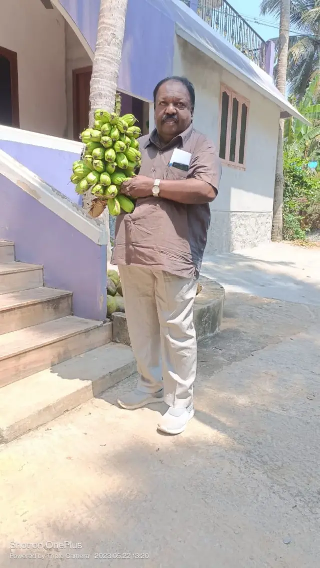 அரிய வகை வாழைகள்