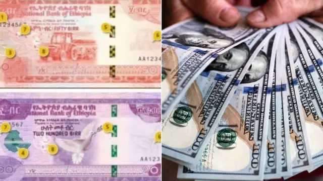 ብር ኢትዮጵያን ዶላር ኣሜሪካን