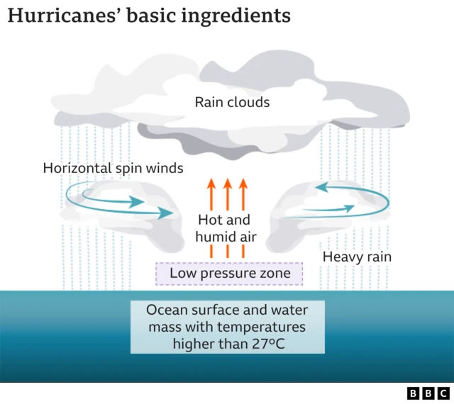 Graph wey show ingredients wey dey needed for hurricane