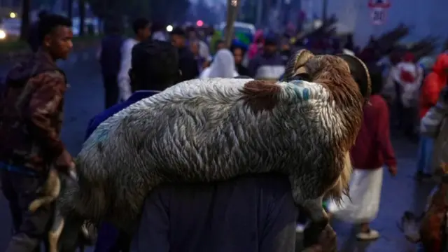 ለአዲስ ዓመት የገዛውን በግ ተሸክሞ የሚሄድ ሰው