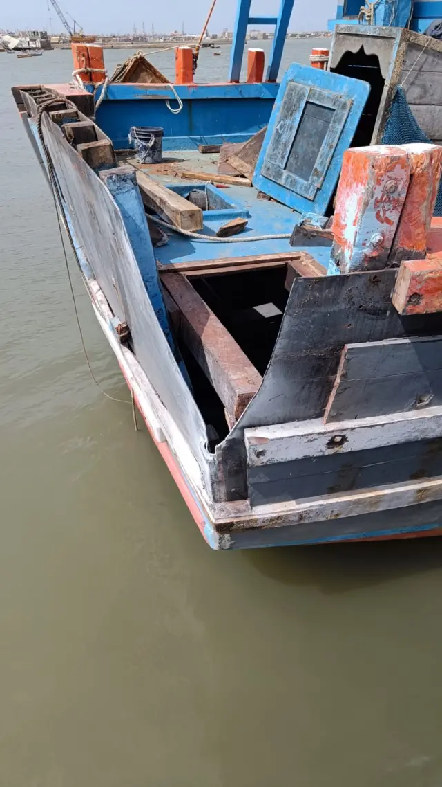 બોટની તસવીર