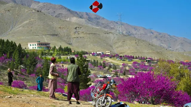 چاریکار 