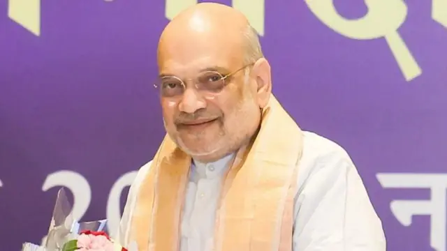 अमित शाह काही दिवसांपूर्वीदेखील म्हणाले होते की या 31 मार्चआधी नक्षल चळवळ पूर्णपणे संपुष्टात येईल
