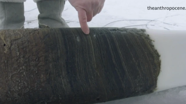 Кусок керна с коричневыми и зелеными полосами