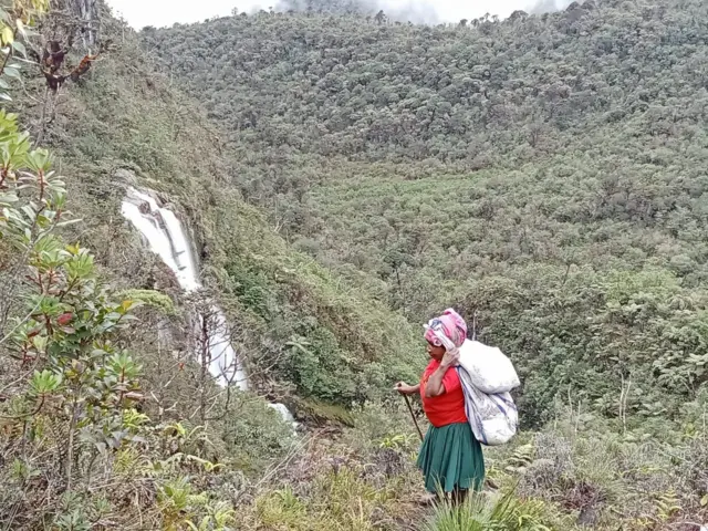 Distrik mebarok, nduga, papua
