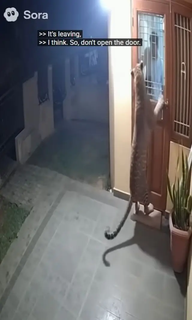 तुम्ही पाहत असलेल्या व्हीडिओवर स्क्रीनवर सोरा हे नाव असेल, तर तो एआय व्हीडिओ आहे.