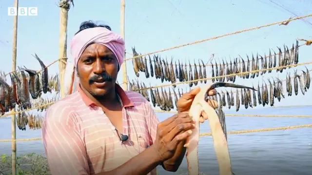 గోదావరి చేపలు