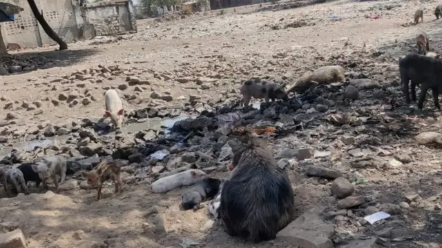 அம்பேத்கர்