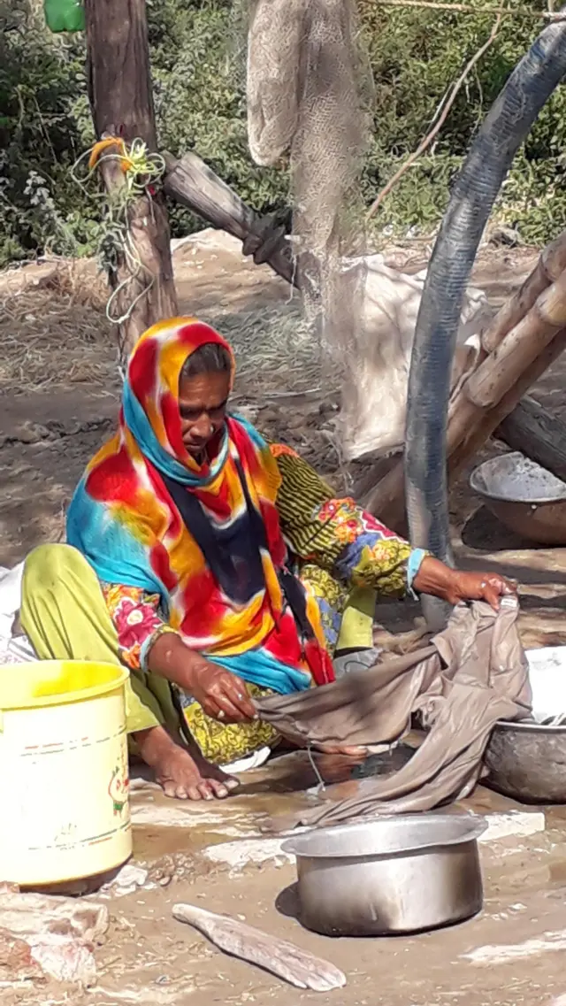 بھاگی
