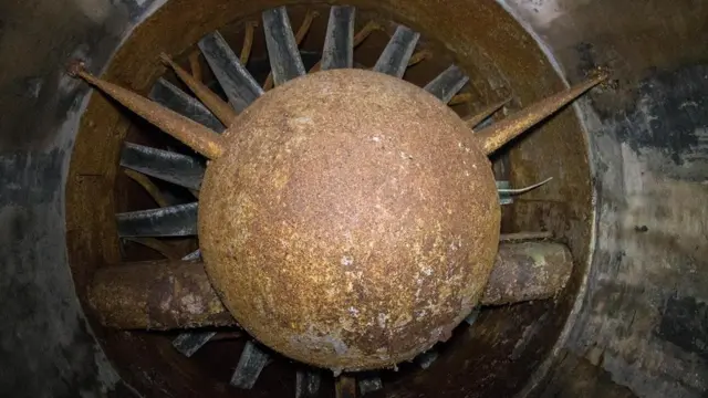 在一个抽风风扇里，通风口大到可以在里面直立（图片来源： William Park）