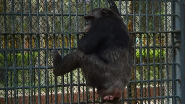 کراچی چڑیا گھر