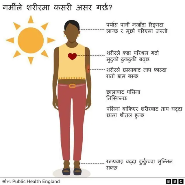 गर्मीले शरीरमा पुर्याउन सक्ने असरहरूको चित्राङ्कन