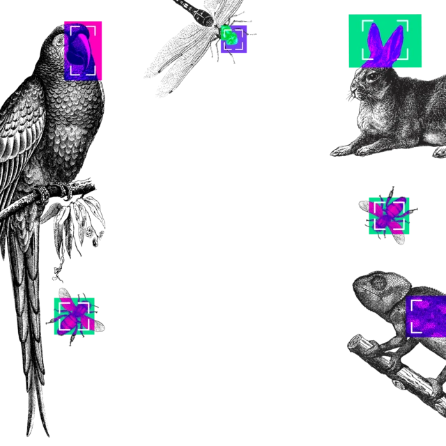 መመርሒ ሰብ-ሰርሖ ብልሒ