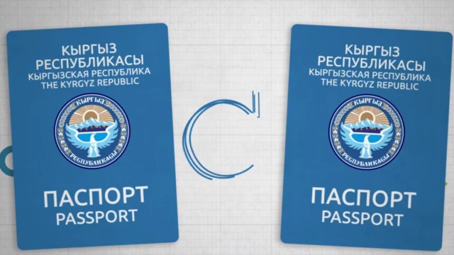 2012-жылдан тартып УКМК тарабынан паспортко байланыштуу 150 кылмыш иши козголгон