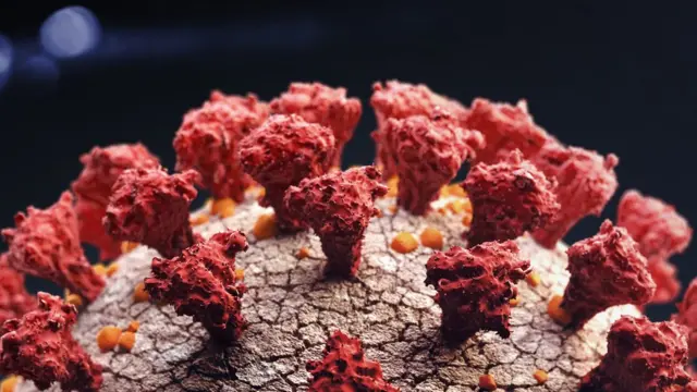 கொரோனா வைரஸ்