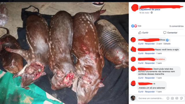 Alguns participantes condenam caçadores que matam muitos animaisnetflix casa de apostasuma só vez, citando preocupações ambientais