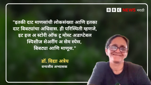 कोट कार्ड