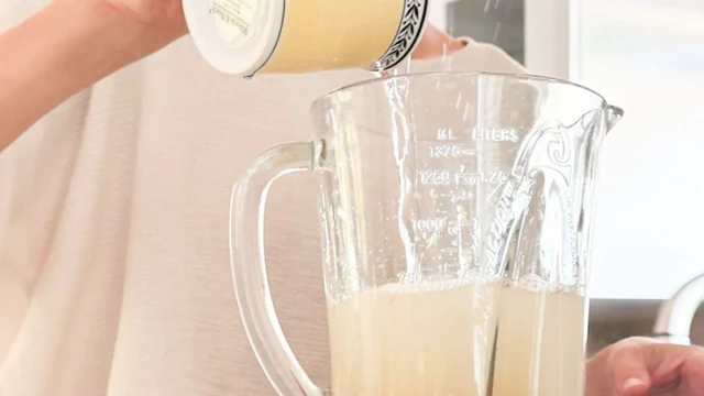 식물성 대체유를 만드는 과정