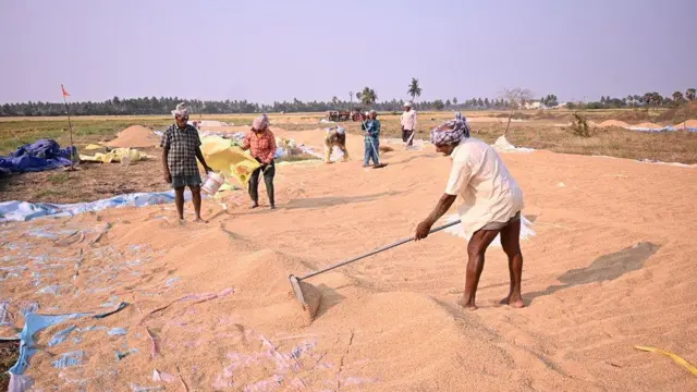 పెట్రోల్, డీజిల్, కొరత, ఇంధనం, వ్యవసాయం, చేపలు, రొయ్యలు, రైతులు, పంట, కూలీలు, గోదావరి జిల్లాలు