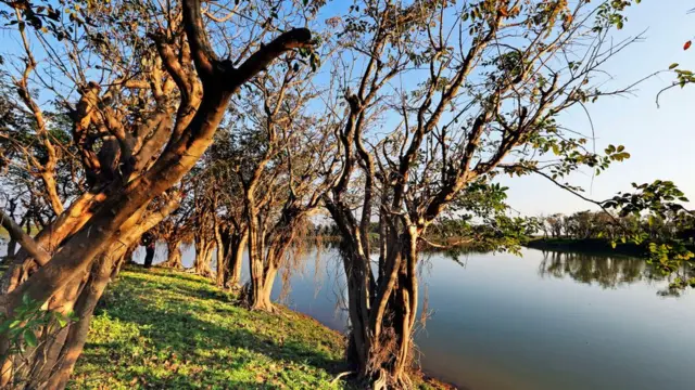 টাঙ্গুয়ার হাওরের দৃশ্য।