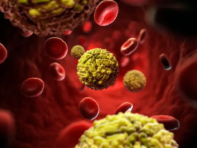 தொடரும் டெங்கு மரணங்கள்