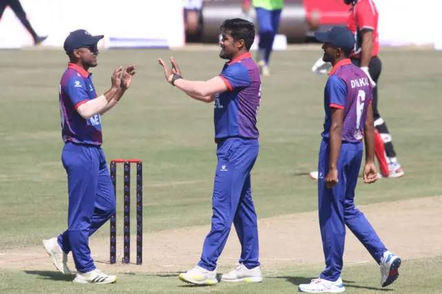 क्रिकेट