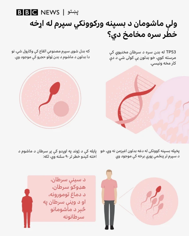 یو ګراف کې ځینې معلومات لیکل شوي