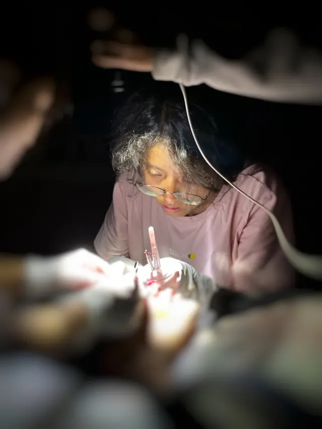 ကုသမှုပေးနေတဲ့ ဒေါက်တာ အေးငြိမ်းသူ