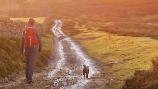 室外活动好处多