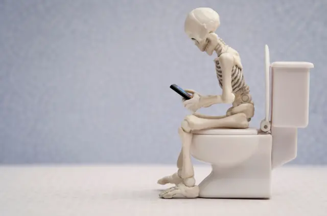 mobile in toilet, poo, constipation बद्धकोष्ठ, संडासात मोबाईल नेण्याची सवय, bbc Marathi, बीबीसी मराठी, पोट साफ होण्यासाठी
