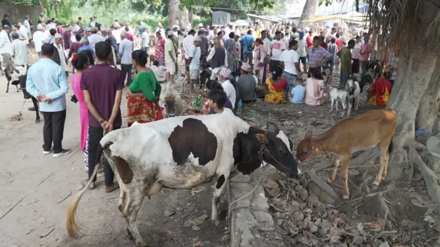 हाटबजार