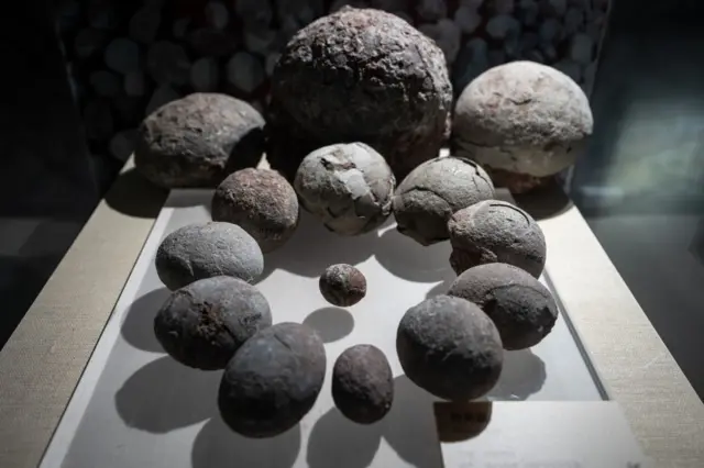 டைனோசர்கள்