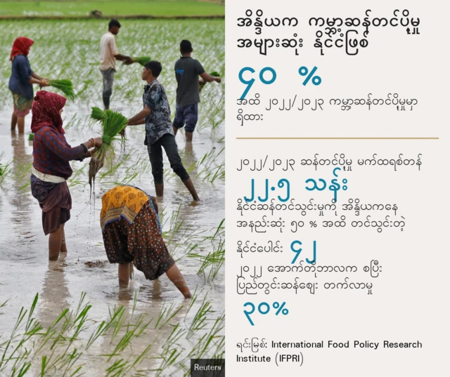 အချက်အလက်ပြပုံ