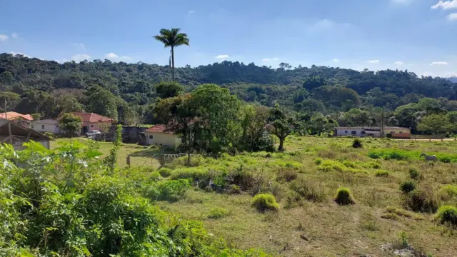 Área verde em Mogi das Cruzes 