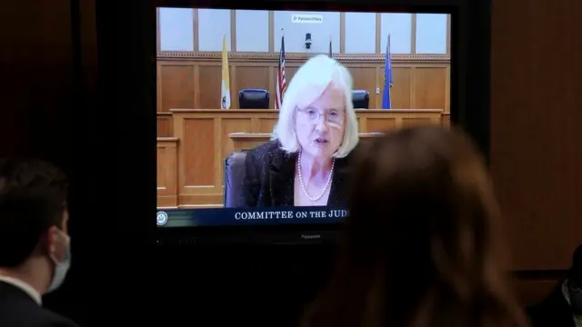 部份议员选择使用视像会议形式出席听证会。