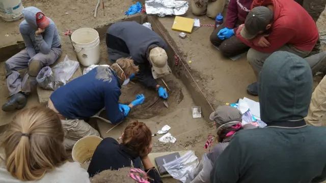 Excavaciones en Upward Sun River, Alaska. Foto: AFP/Nature/Universidad de Alaska Fairbanks/Ben Potter.