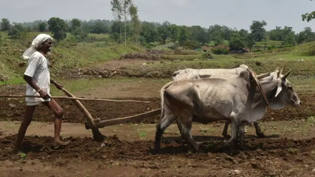 ખેતી કરતા ખેડૂત