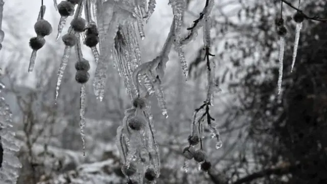 شوپیاں، کشمیر