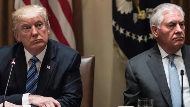 特朗普和国务卿蒂勒森