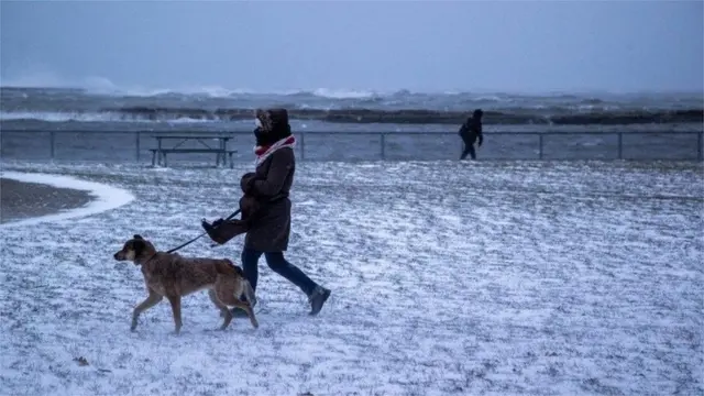 Mulher anda com o cachorrocasinobrendLake Ontario, no Canadá