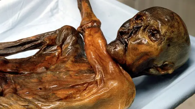 Momia del Hombre de Hielo.