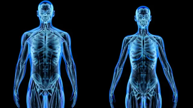 De qué está hecho realmente el cuerpo humano? - BBC News Mundo