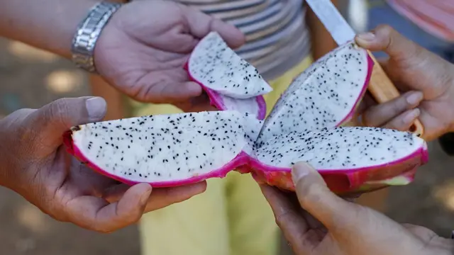 டிராகன் பழம்