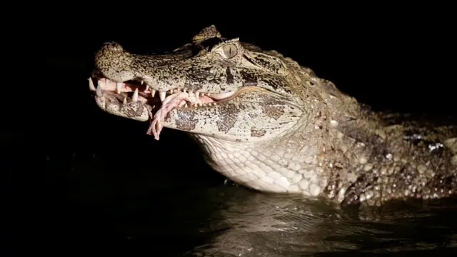 प्राग्वे में पिक्लोमेयो नदी के आस-पास पड़ा सूखा