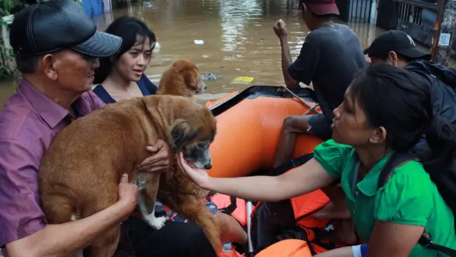 banjir, jakarta, banjir jakarta