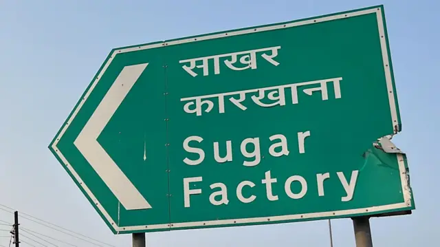 प्रातिनिधिक फोटो