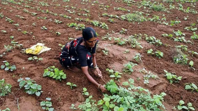 कृषि क्षेत्र में बहुत सारा आधारभूत ढांचा विकसित करने की ज़रूरत है ताकि किसान प्राकृतिक खेती कर पाएं