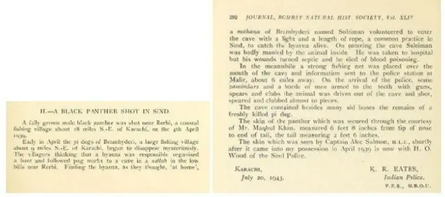 पाकिस्तान 