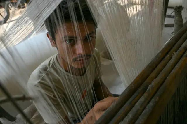 બીબીસી ગુજરાતી, ગુજરાત, કપાસની ખેતી, કપાસ, ખેડૂતો