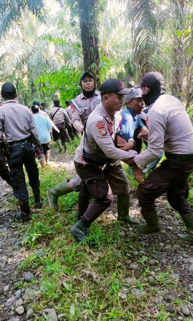 Petani plasma sawit di Buol, Sulawesi Tengah